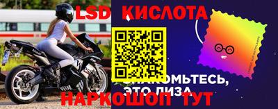 ГАЛЛЮЦИНОГЕННЫЕ ГРИБЫ Гай