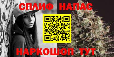 ГАЛЛЮЦИНОГЕННЫЕ ГРИБЫ Гай