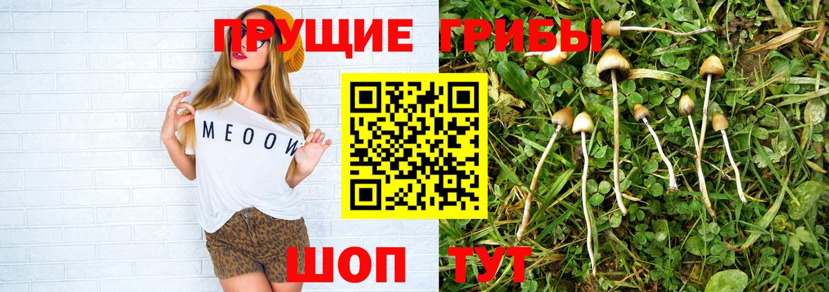 Галлюциногенные грибы ЛСД  Псилоцибиновые грибы прущие грибы  Большой Камень  Вход с VPN 